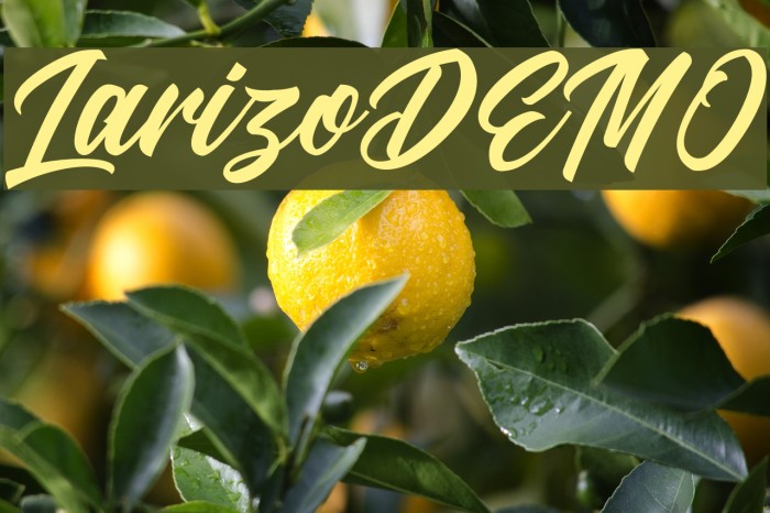 LarizoDEMO フォント examples