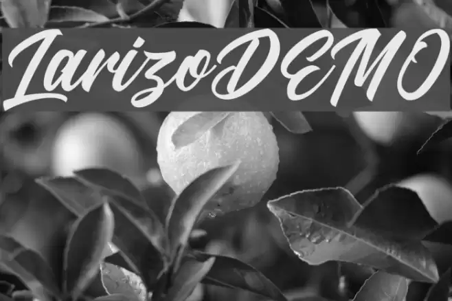 LarizoDEMO Font examples