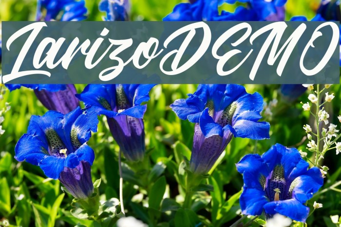 LarizoDEMO フォント examples