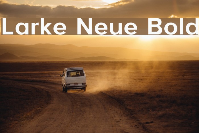 Larke Neue Bold Font examples
