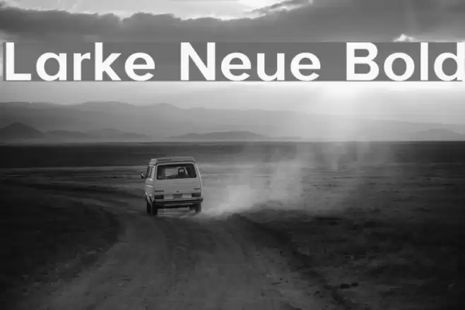 Larke Neue Bold Font examples
