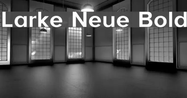 Larke Neue Bold Font examples