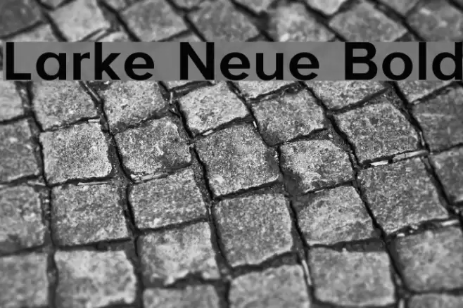 Larke Neue Bold Font examples