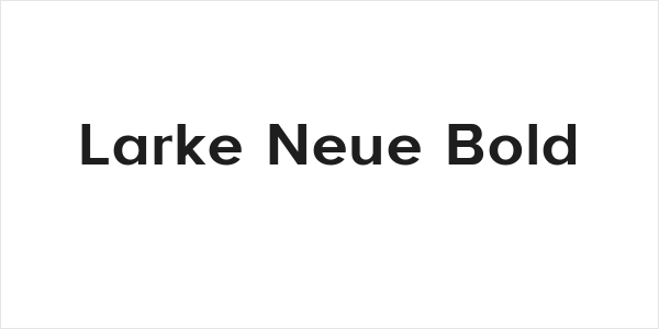 Larke Neue Bold Logo