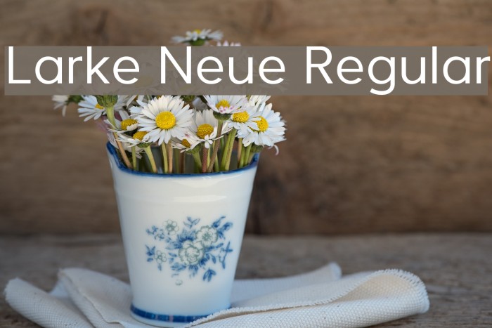 Larke Neue Regular Font examples