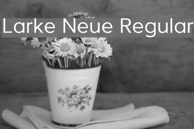 Larke Neue Regular フォント examples