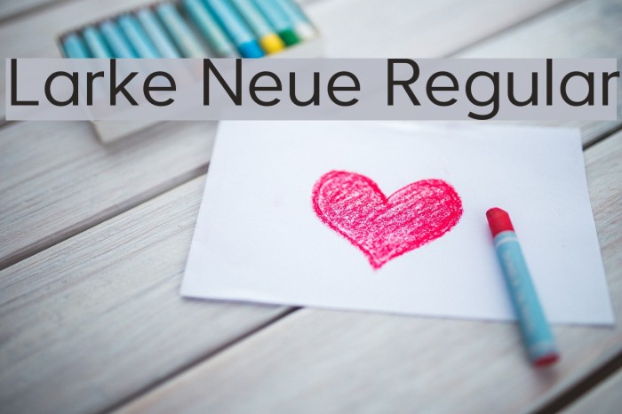 Larke Neue Regular Font examples
