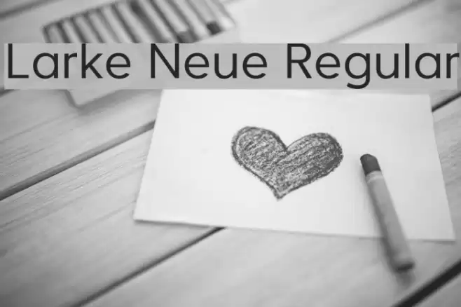 Larke Neue Regular フォント examples