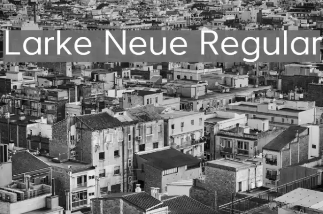 Larke Neue Regular フォント examples