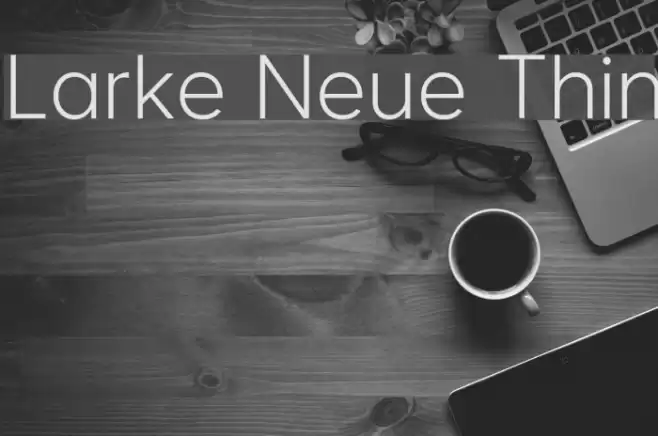 Larke Neue Thin Font examples