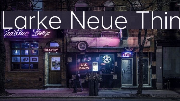 Larke Neue Thin Font examples