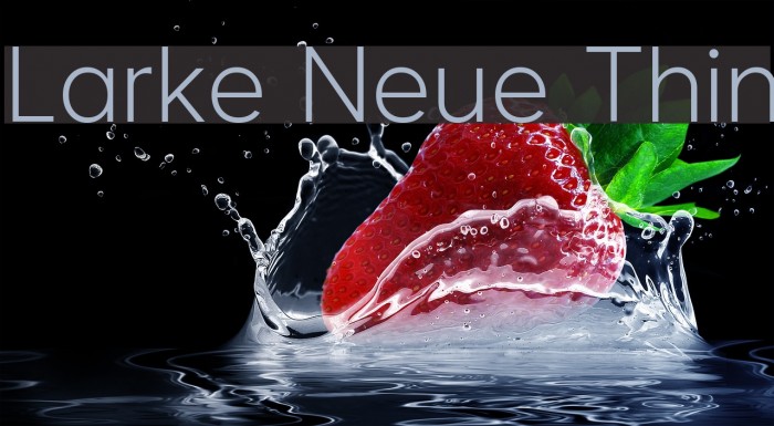 Larke Neue Thin Font examples