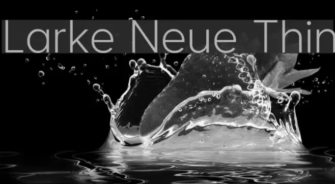 Larke Neue Thin Font examples