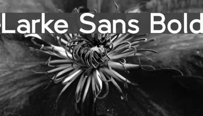 Larke Sans Bold Font examples