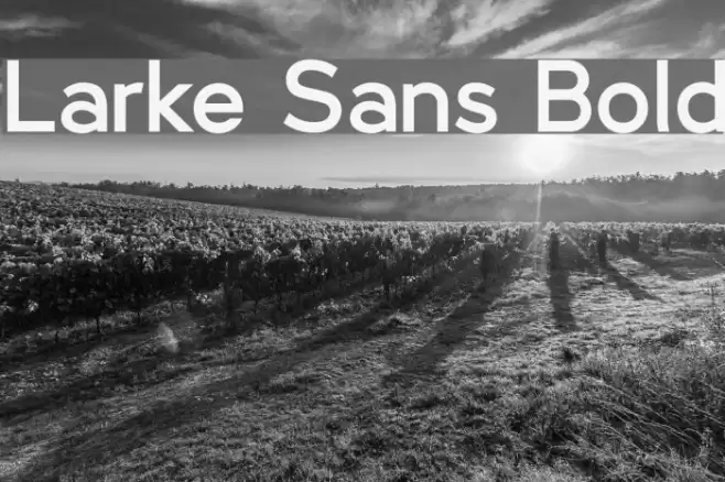 Larke Sans Bold Font examples
