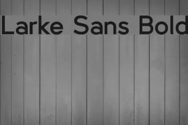 Larke Sans Bold Font examples