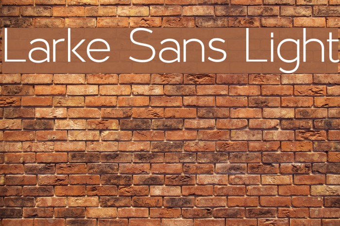 Larke Sans Light Font examples