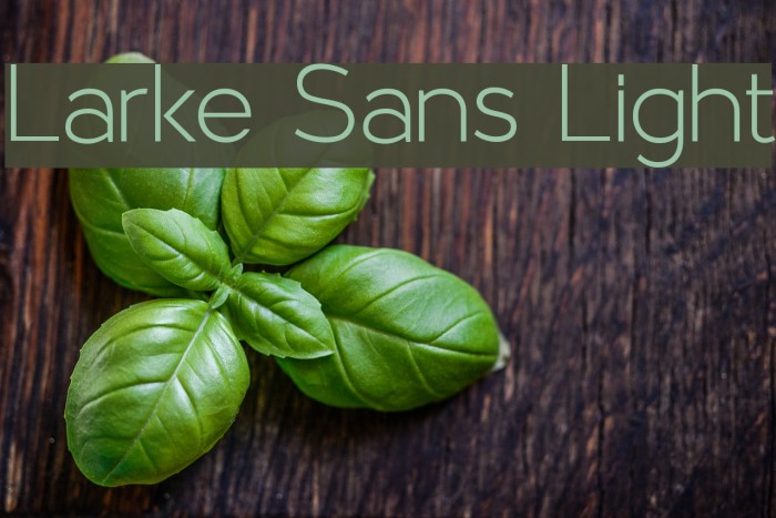 Larke Sans Light Font examples