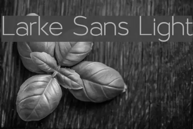 Larke Sans Light examples