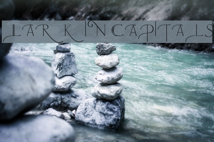Larkin Capitals Font examples