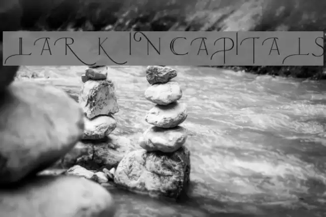 Larkin Capitals Fonte examples