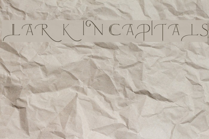 Larkin Capitals Font examples