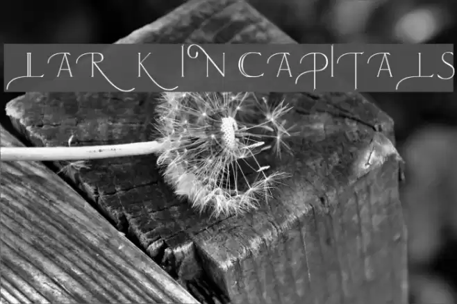 Larkin Capitals Fonte examples