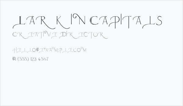 Larkin Capitals Business Card