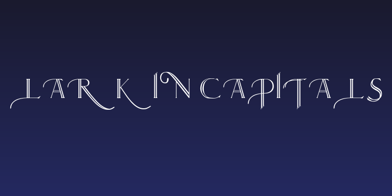 Larkin Capitals Social Header