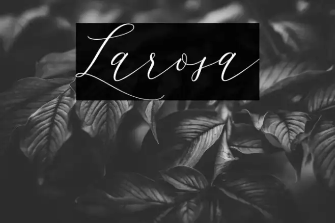 Larosa Example 1
