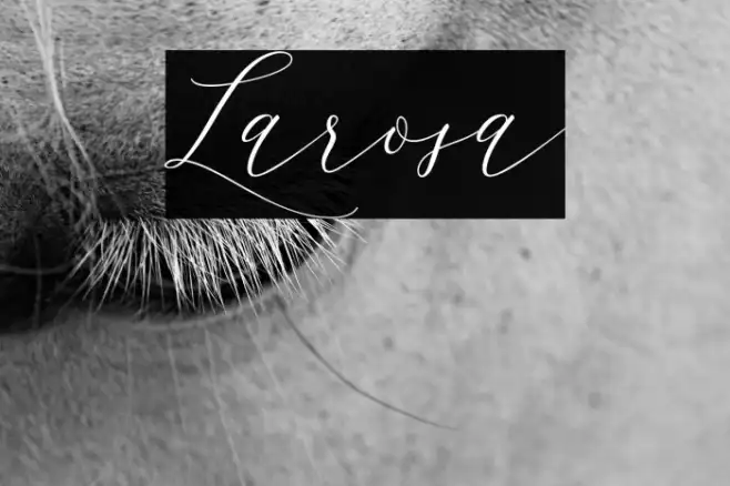 Larosa Example 2