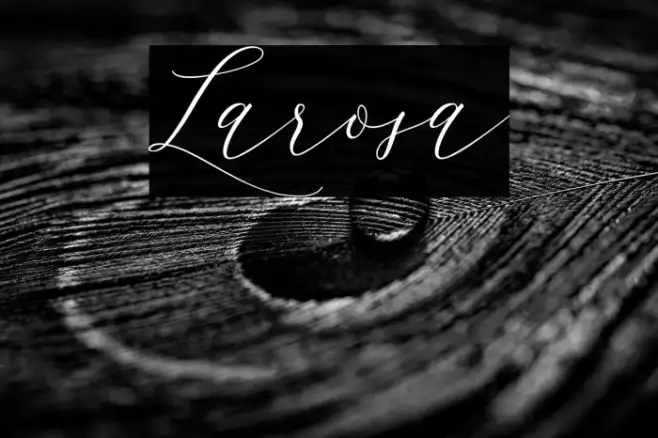Larosa Example 3