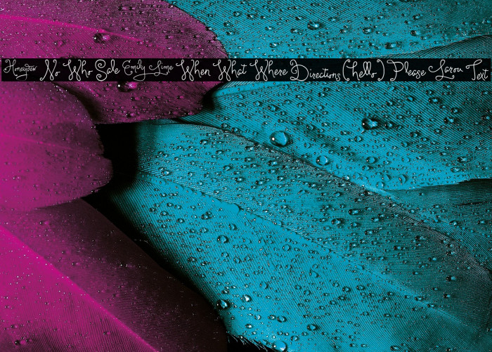 LarouWords Example 1