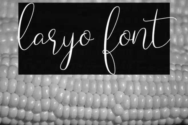 Laryo Font examples