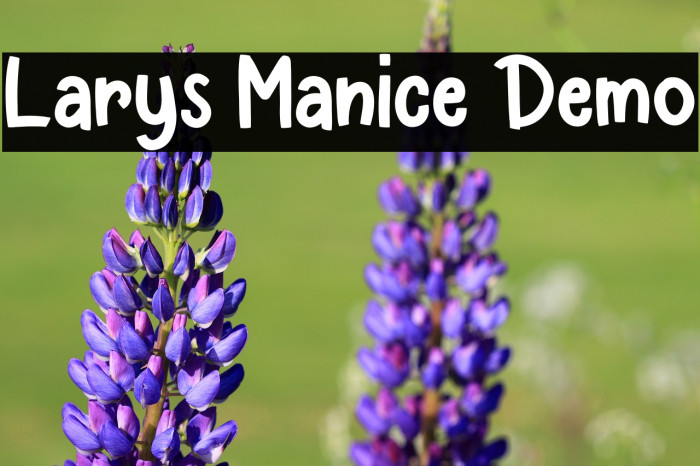 Larys Manice Demo Font examples