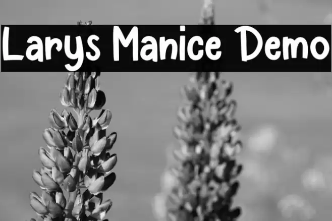 Larys Manice Demo Fonte examples