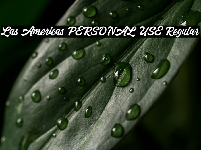 Las Americas PERSONAL USE Regular Example 2