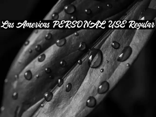 Las Americas PERSONAL USE Regular Font examples