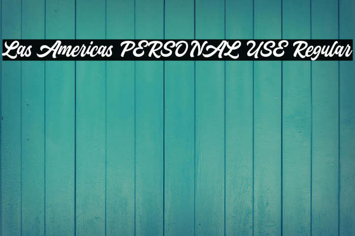Las Americas PERSONAL USE Regular Example 3