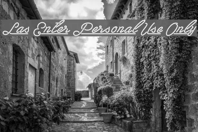 Las Enter Personal Use Only Example 1