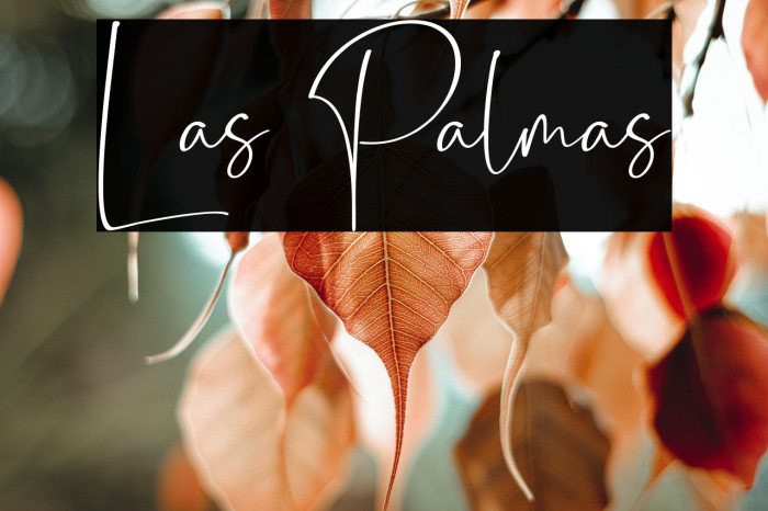 Las Palmas Example 2