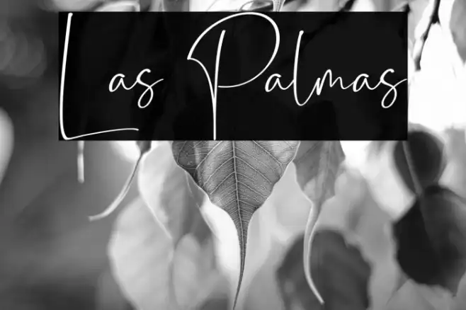 Las Palmas Example 2