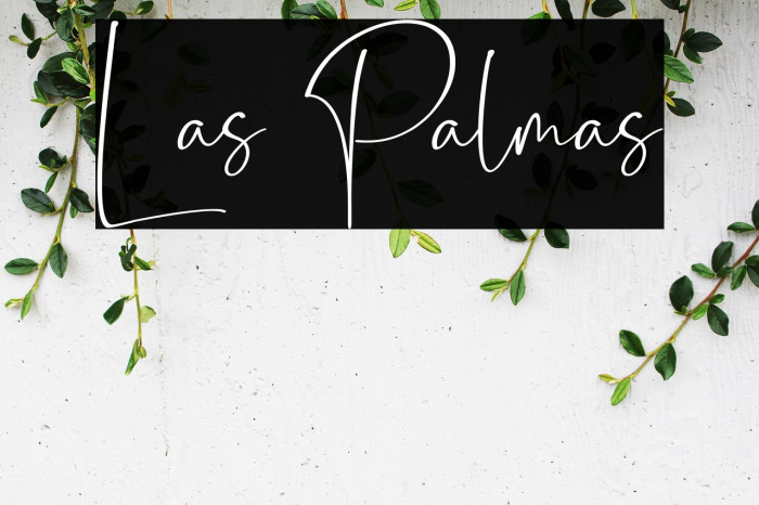 Las Palmas Example 3