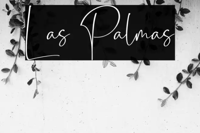 Las Palmas Example 3
