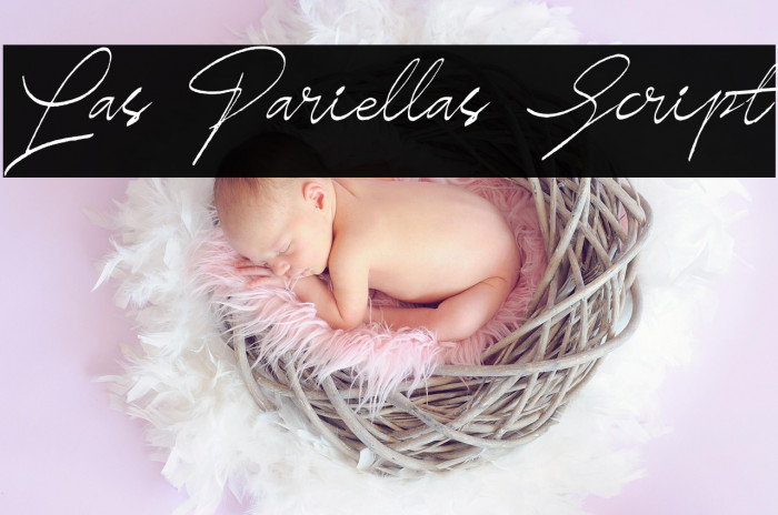Las Pariellas Script Example 1