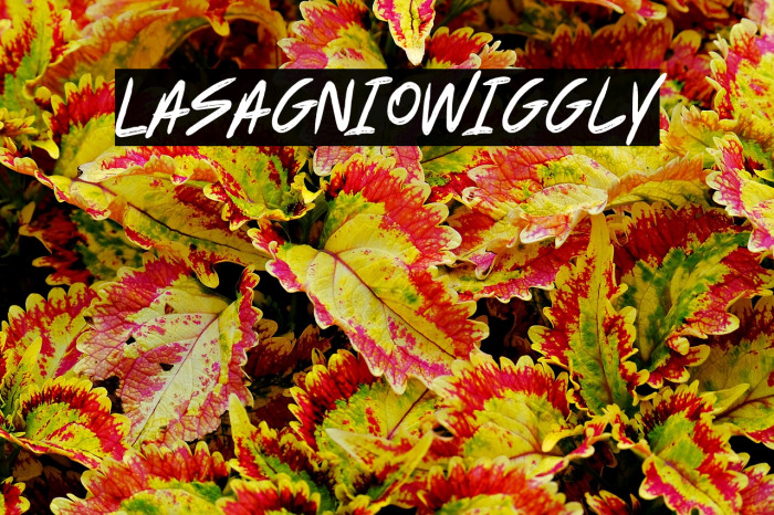 Lasagnio Wiggly Example 3