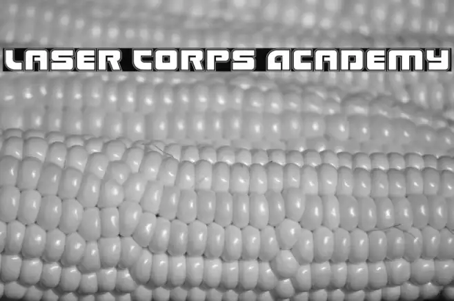 Laser Corps Academy Example 3