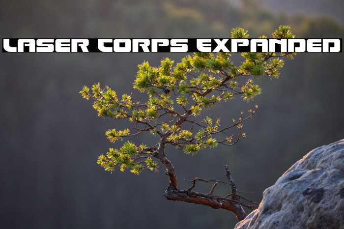 Laser Corps Expanded Example 2