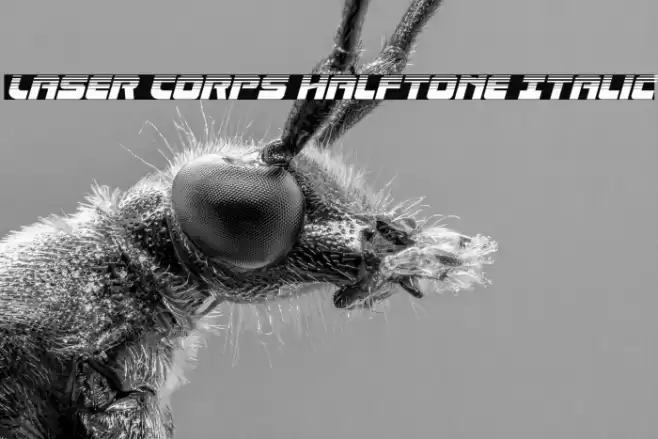 Laser Corps Halftone Italic Font examples