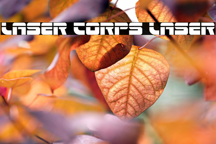 Laser Corps Laser Example 3